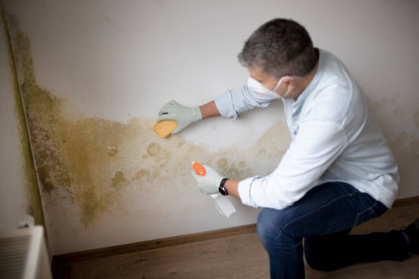 Best Mold-Related Health Consultation  in Scottsboro, AL
