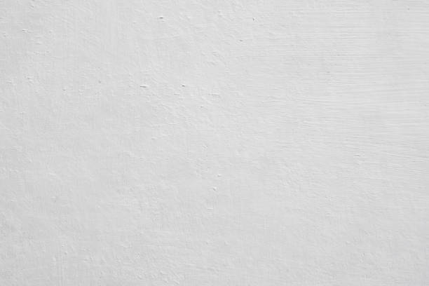 Best Attic Mold Removal  in Scottsboro, AL