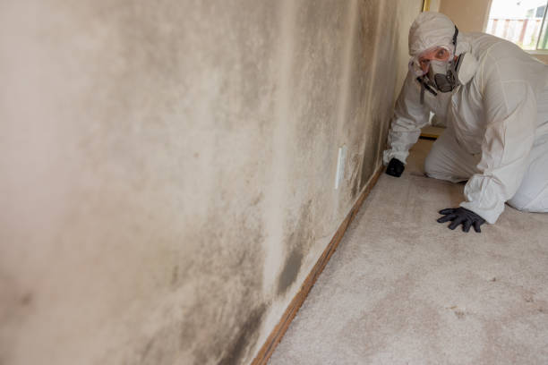 Dehumidification Services in Scottsboro, AL
