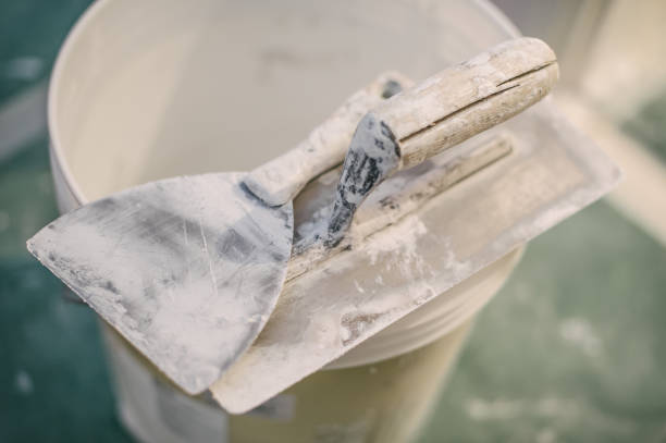 Best Commercial Mold Inspection  in Scottsboro, AL
