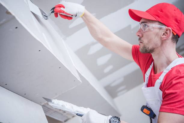 Best Mold Removal for HVAC Installations  in Scottsboro, AL
