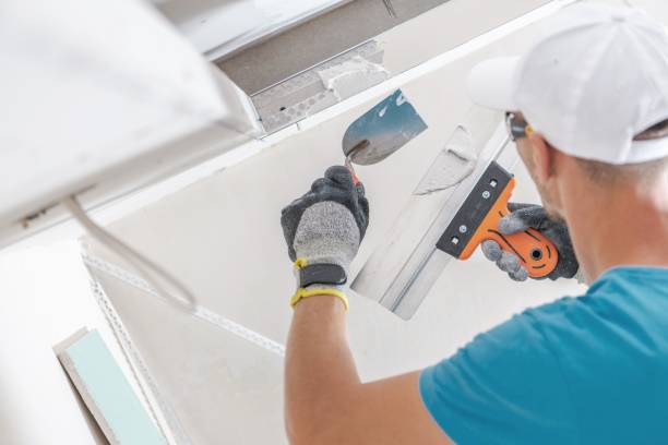 Professional Mold Removal in Scottsboro, AL